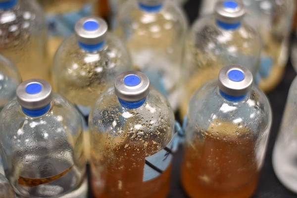 biomass bottles