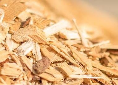 biomass