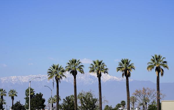 snowy mountains and palm trees