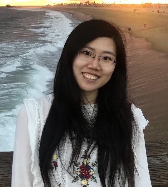 fei ye