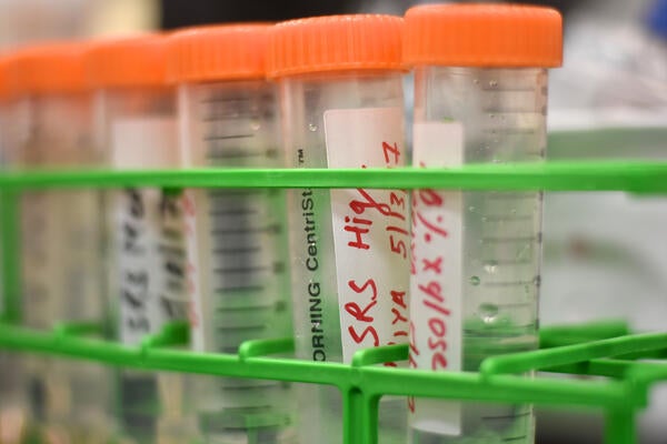 test tubes