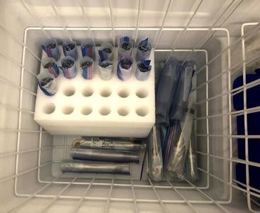 freezer samples 