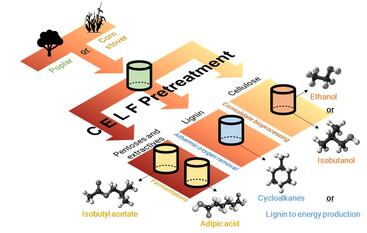 Simplified diagram for a CELF-based biorefinery outlining the potential suite of renewable liquid fuels and bioproducts that could be economically obtained from a hypothetical full-scale plant. CELF: Co-solvent Enhanced Lignocellulosic Fractionation