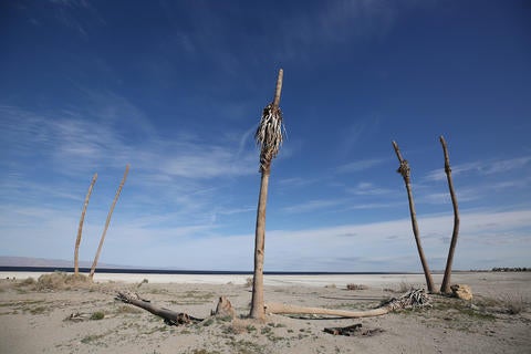 salton sea 1