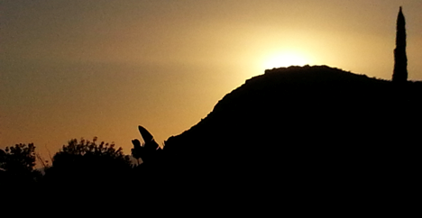 Southern California Research Initiative For Solar Energy Consortium Center For Environmental Research And Technology
